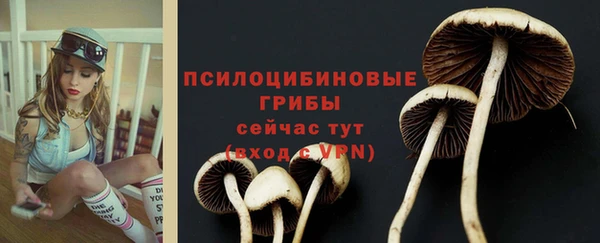 хмурый Покровск