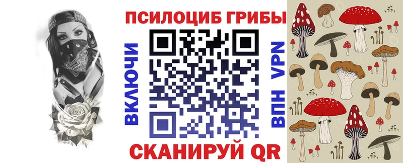 Галлюциногенные грибы Magic Shrooms  Купить где  Рузаевка 