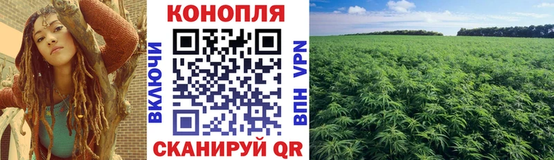 Купить где  Рузаевка  Канабис OG Kush 